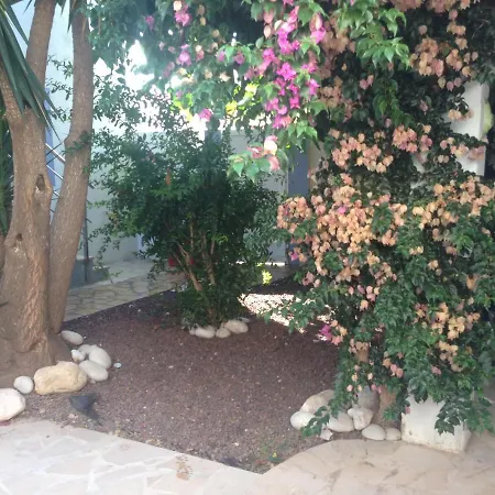 Apartamento Saldonar Vinaros Exterior photo
